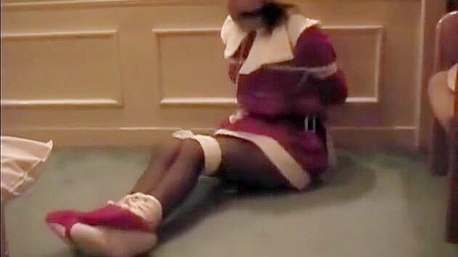 雷约的假期束缚之旅