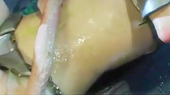 束缚与诱惑：日本诱人的武士女英雄Aoh的冒险旅程