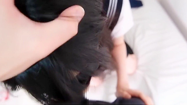 奶妈狂热：令人兴奋的新发布！