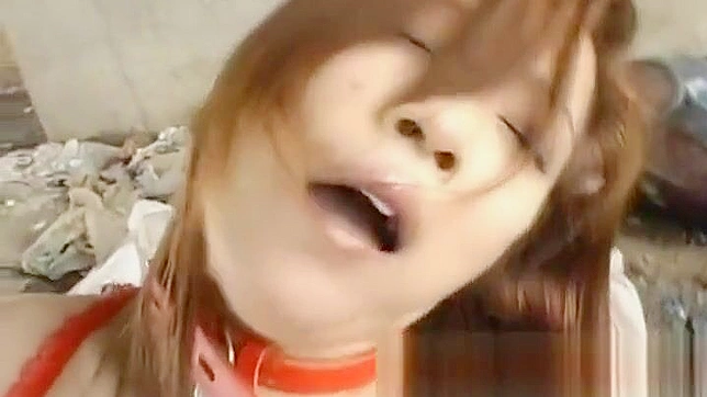 JAV少女Aki的淘气冒险：第六章“追求”奇幻旅程