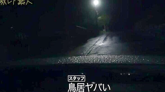 亚洲尤物释放诱人曲线为你欢愉而舞