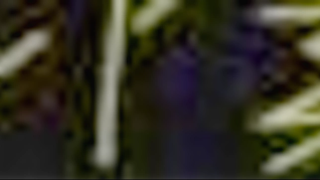 亚洲尤物释放诱人曲线为你欢愉而舞