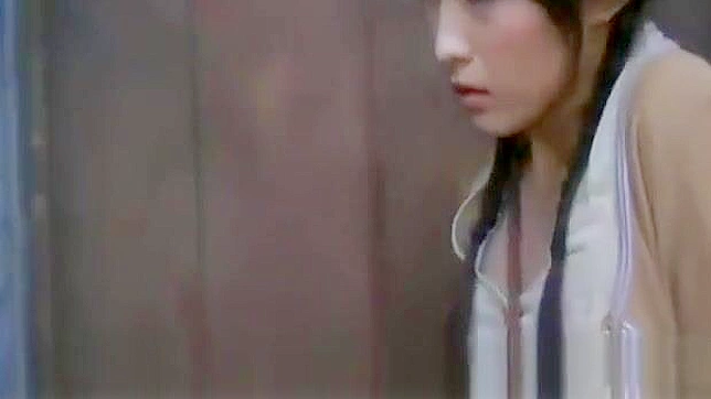 JAV魅惑女神~探索日本美女的性感世界
