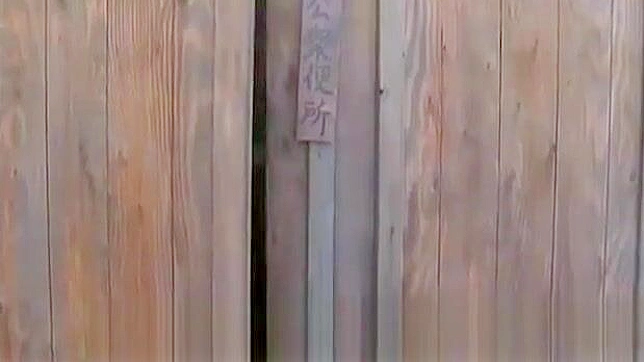JAV魅惑女神~探索日本美女的性感世界