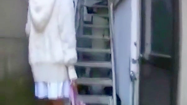 迷人艾美春风JAV第二章：视觉盛宴尽享其中！