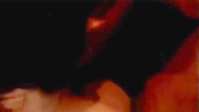 穿着辣内衣的JAV美女炫耀她的曲线