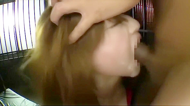 JAV 番号轮交视频~六位性感女优带来极致享受！