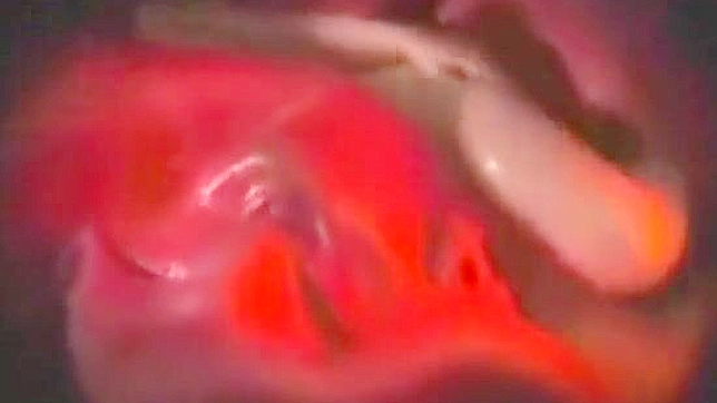 JAV美女在植物怪兽吞噬幻想中迷失于狂野欲望！