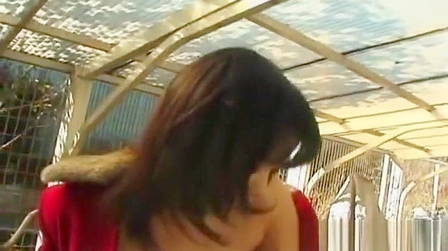 车中狂野的JAV女郎第六部：我们迷人的美人带来激情！