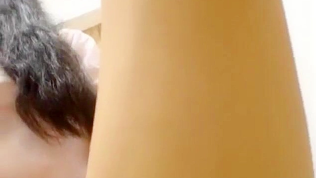 揭秘绝美JAV模特的迷人魅力展现