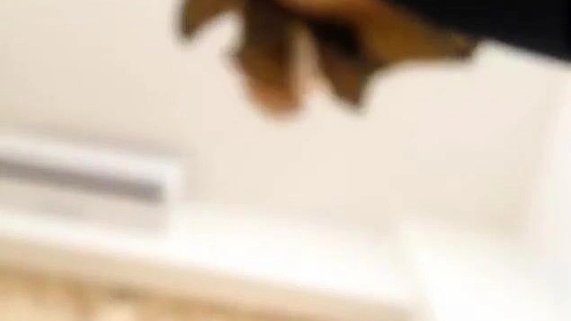 揭秘绝美JAV模特的迷人魅力展现