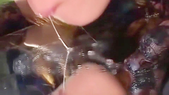 日式多人狂欢秀：沉醉于日本美女的完美面孔与性感魅力之中