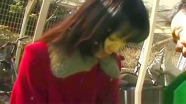 狂热的JAV美女车震~第4部分激情展开！