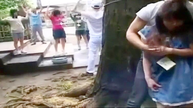 探索这部JAV电影中的诱人日本女妖～所有淫荡爱好者的必看之作！