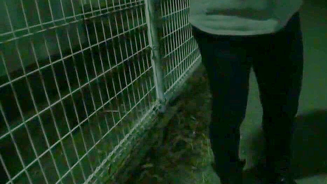 尽情释放欲望，感受这香艳的JAV口爱场景