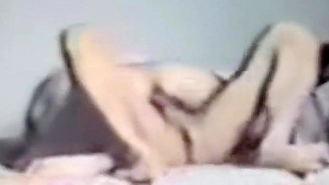 台湾护士激情性爱表演 — 张家境独家视频