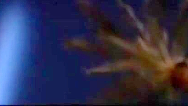 准备好迎接Kina的疯狂俱乐部冒险吧！独家硬核亚洲射精和吞咽场景！