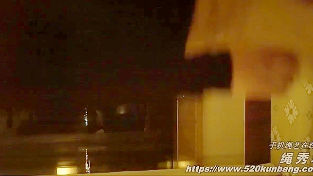 诱人中国艳姬首次体验肛塞：刺激又迷人