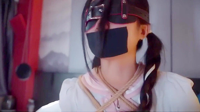 探索迷人日本成人世界，全新捆绑日记第5卷登场！