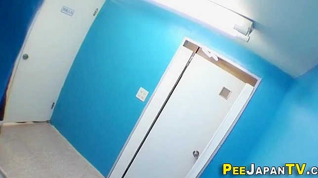 揭秘日本女性的迷人秘密：在公共场所小便！