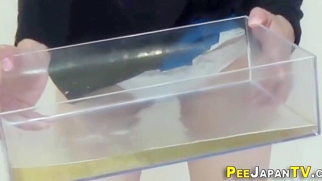 日本色情~性感亚洲女神的淘气小便游戏