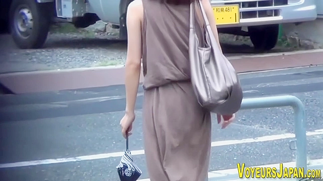 释放欲望，享受这些迷人的亚洲蓓蕾！