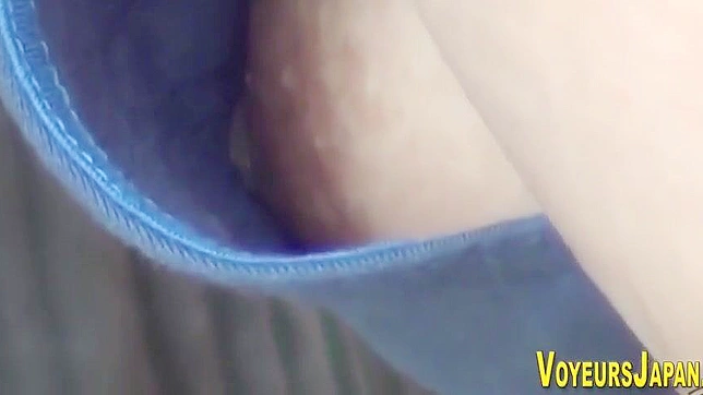 释放欲望，享受这些迷人的亚洲蓓蕾！