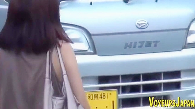 释放欲望，享受这些迷人的亚洲蓓蕾！