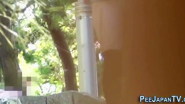 湿漉且羞耻——可爱的日本女孩在公共场所小便