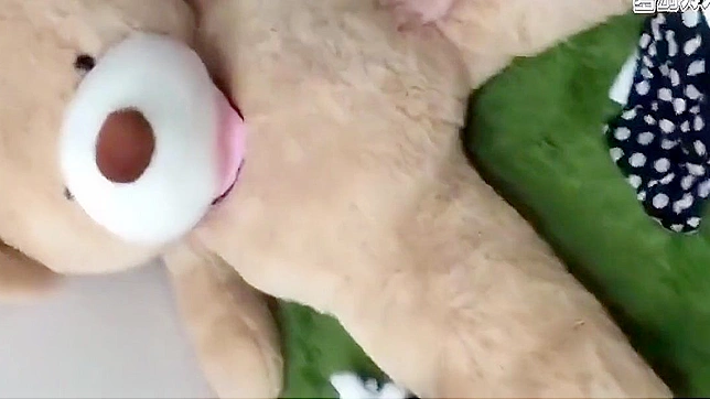 日本色情~绝美亚洲天使在超赞网络摄像表演中