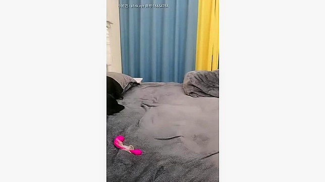 揭秘！日本性感猫咪的秘密生活 – 独家视频！