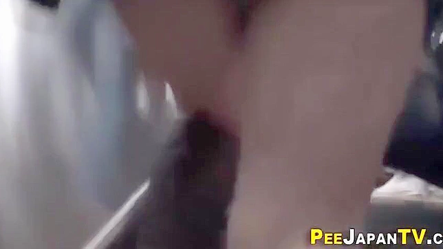 体验日本色情片的性感魅力