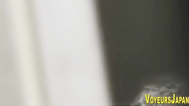 体验毛茸茸的亚洲婊子的魅力，尽在我们的揉搓视频中。