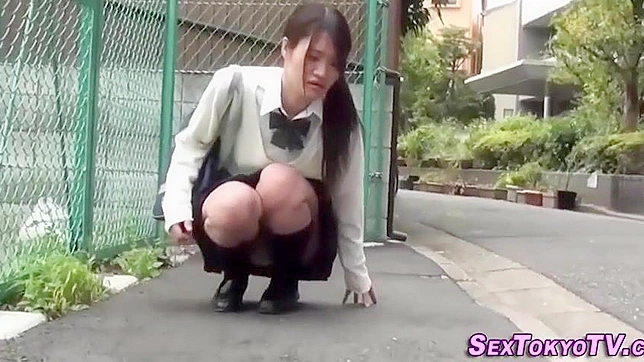 揭秘日本少女在公共场所裙底视频的诱人魅力