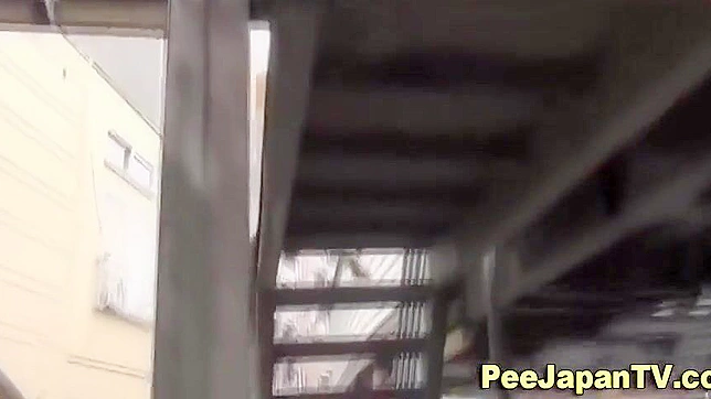 日本女人公共场合尿 pee 探索这种恋物癖