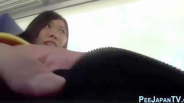 日本女性在公共火车上的精致小便体验