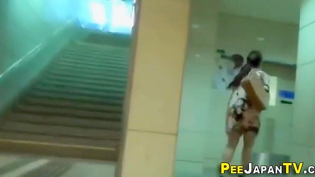 日本色情：湿润多毛的亚洲女人小便