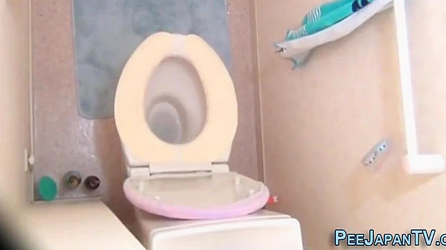 与可爱的亚洲妖精共享湿热 探索极致欢愉！