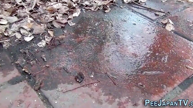 日本美女在街上倾泄她的精华！