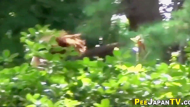 日本AV女星湿润的内裤诱惑力十足