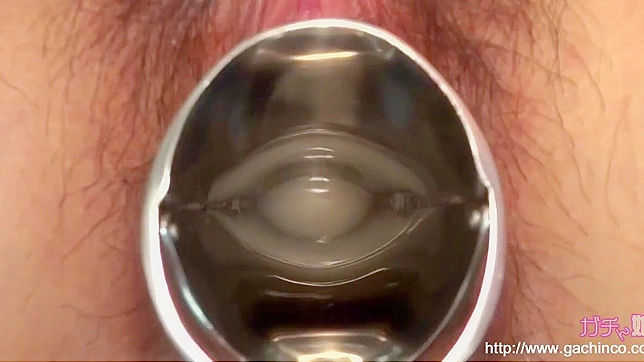 迷人亚洲婊子的湿滑阴道——视觉上的极致享受！