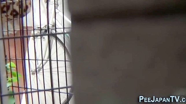 日本色情~诱人的亚洲美女在街头小便