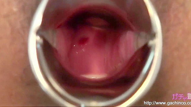 迷人亚洲魅惑女郎登场~探索她迷人的私处以取悦你