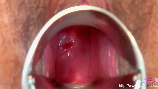 迷人亚洲魅惑女郎登场~探索她迷人的私处以取悦你