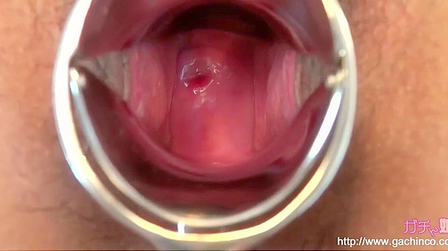 迷人亚洲魅惑女郎登场~探索她迷人的私处以取悦你