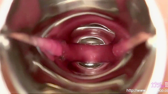 日式色情片：性感女郎展示她紧致的私处