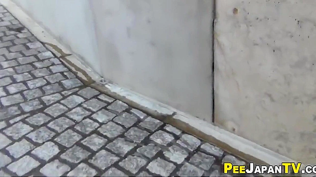 幻想成真~可爱亚洲甜心公开小便！