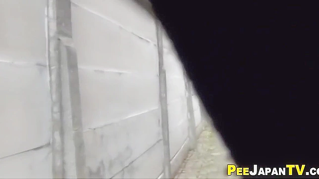 幻想成真~可爱亚洲甜心公开小便！