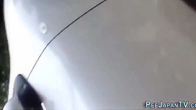 日式色情：湿漉淋漓的水上狂欢，亚洲美女撒尿享受