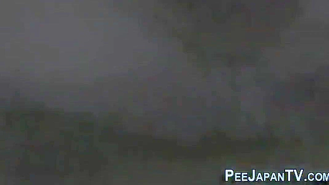 穿高跟鞋的日本美女户外小便——必看！